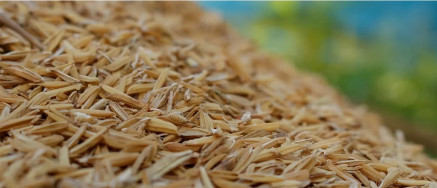 Рисовая солома и шелуха получили новое применение