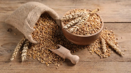 Активнее продвигать отечественную сельхозпродукцию на международные рынки поручил Токаев.