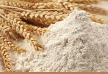 Создать цифровую систему учета зерна поручил президент Казахстана.